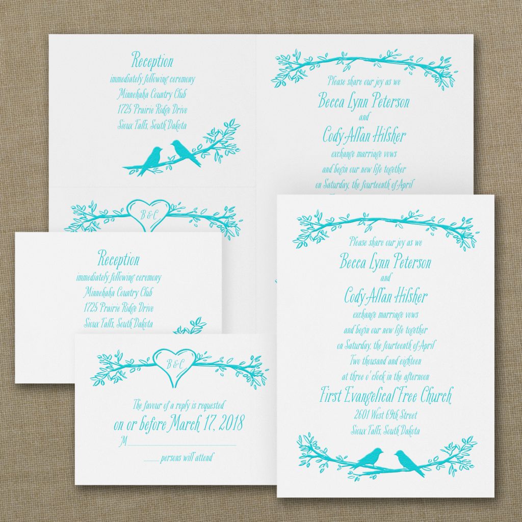 birds of a feather invitation
